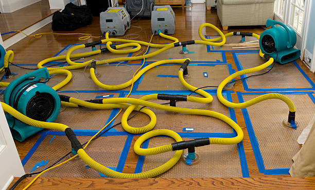 Professional Basement Flood Cleanup technician working in Haltom City, TX